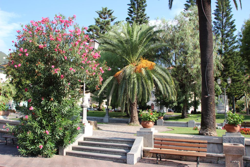 Stadpark in centrum van Alassio met diverse palmen